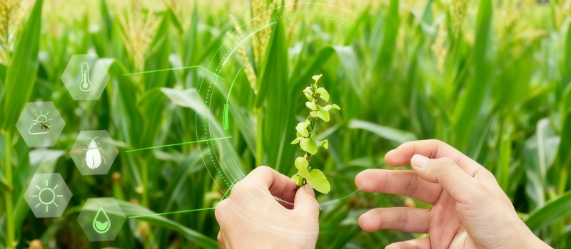 農業水價綜合改革